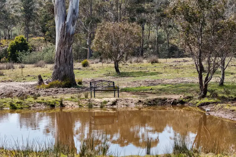 Fourth view of Homely house listing, 856 Hungry Flats Road, Colebrook TAS 7027