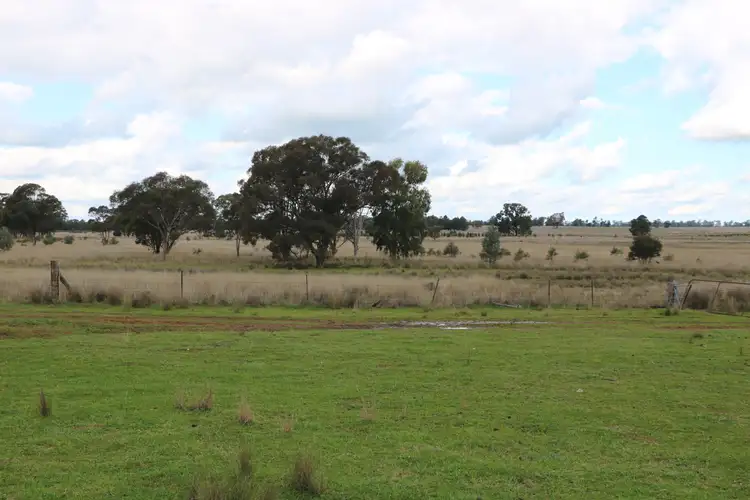 Second view of Homely rural property listing, 4330 Back Trundle Road, Trundle NSW 2875