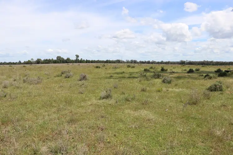 Fourth view of Homely rural property listing, 4330 Back Trundle Road, Trundle NSW 2875