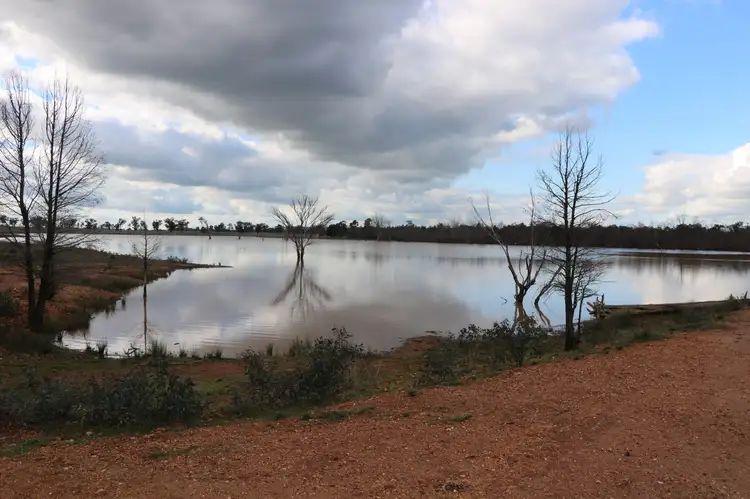 Sixth view of Homely rural property listing, 4330 Back Trundle Road, Trundle NSW 2875
