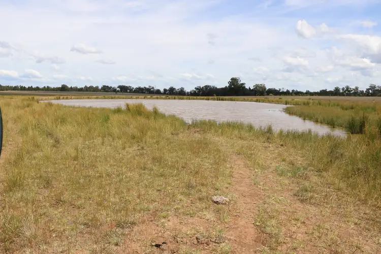Seventh view of Homely rural property listing, 4330 Back Trundle Road, Trundle NSW 2875