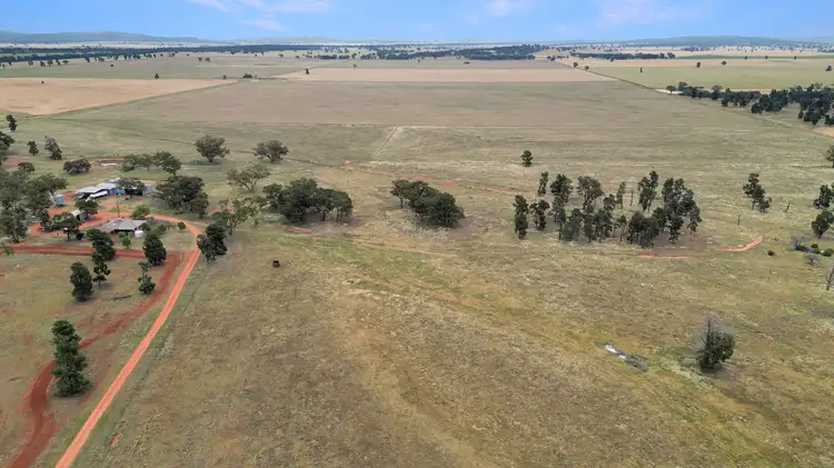 Third view of Homely rural property listing, 'Werona' 904 North Yalgogrin Road, Tallimba NSW 2669