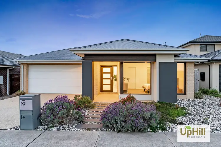 Main view of Homely house listing, 19 Chestnut Avenue, Clyde VIC 3978