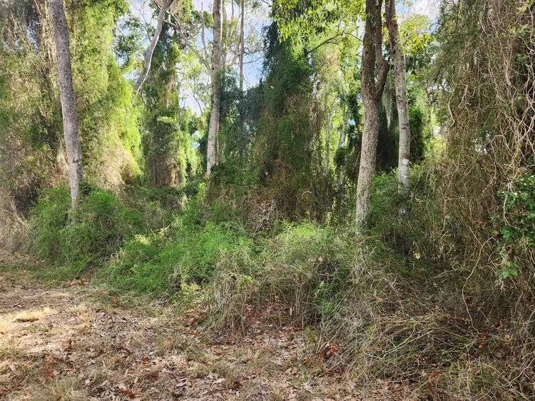 Seventh view of Homely rural property listing, Lot 2, 89 Bunya Way, Blackbutt QLD 4314