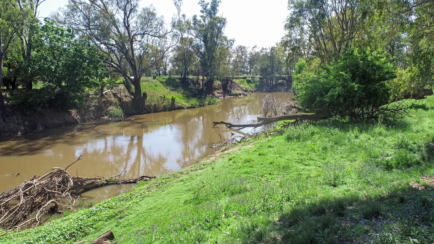 Main view of Homely rural property listing, Licence 617789 Wandary Lane, Forbes NSW 2871