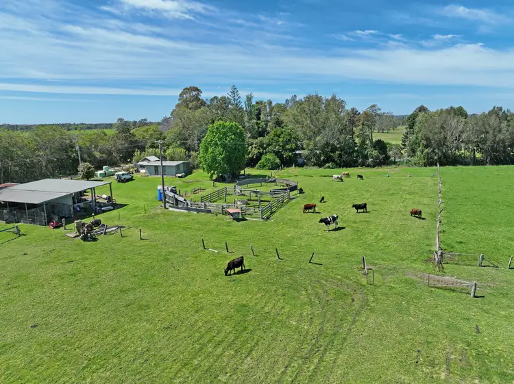 Fourth view of Homely rural property listing, 807 Moto Road, Moto NSW 2426