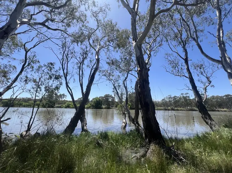 Sixth view of Homely rural property listing, 115 Craignook Road, Caurnamont SA 5238