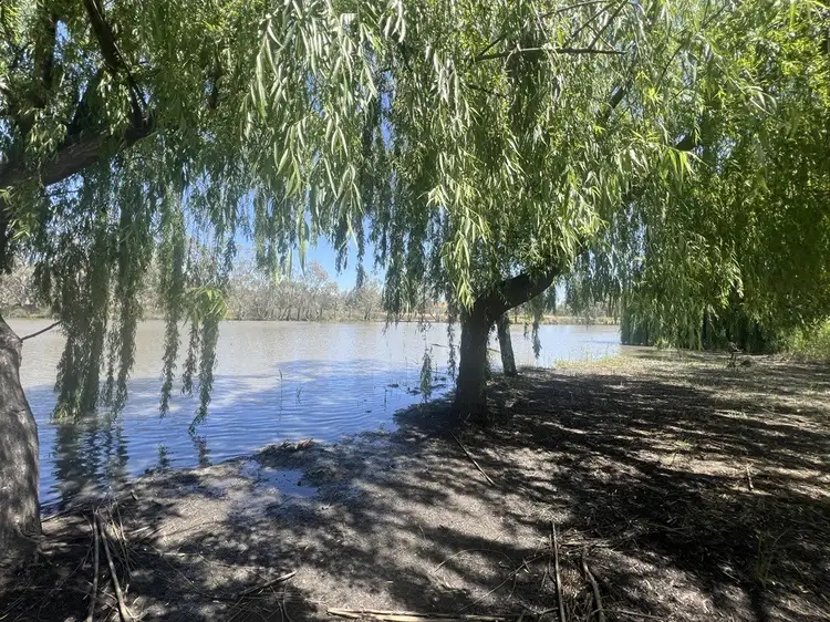 Seventh view of Homely rural property listing, 115 Craignook Road, Caurnamont SA 5238