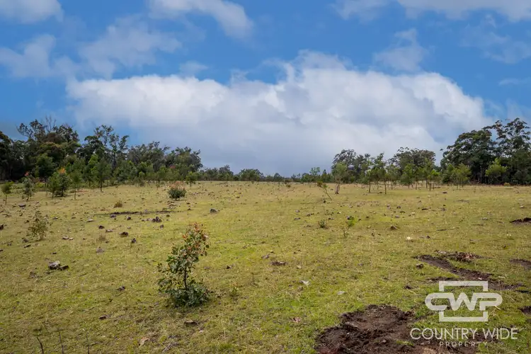 Third view of Homely rural property listing, LOT 93, 470 Silent Grove Road, Torrington NSW 2371