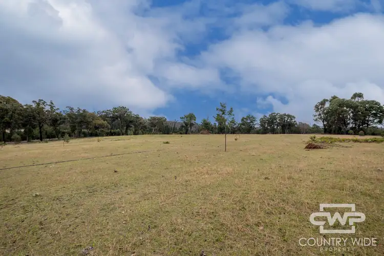 Fourth view of Homely rural property listing, LOT 93, 470 Silent Grove Road, Torrington NSW 2371