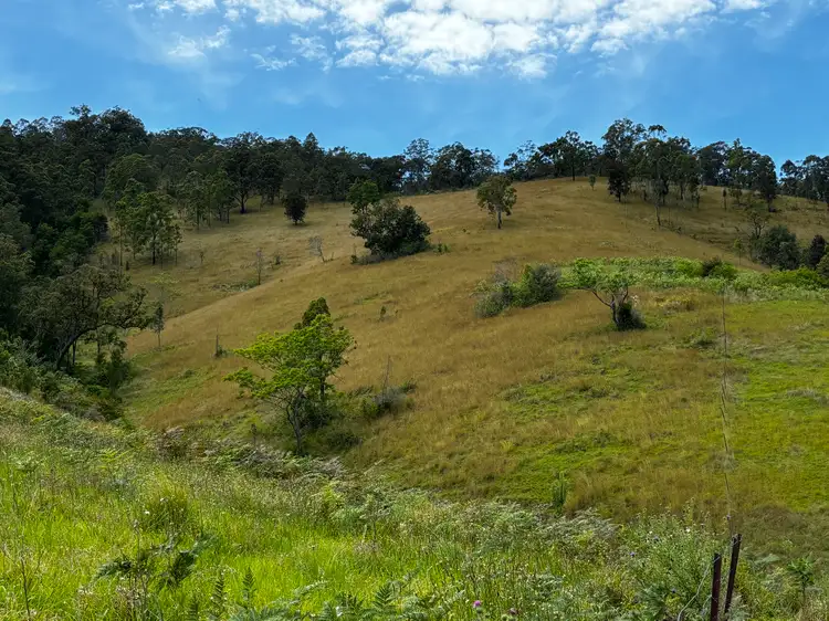 4252 Nowendoc Road, Number One NSW 2424