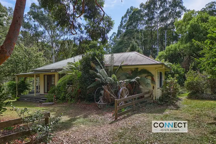 315 Mount Baw Baw Tourist Road, Noojee VIC 3833