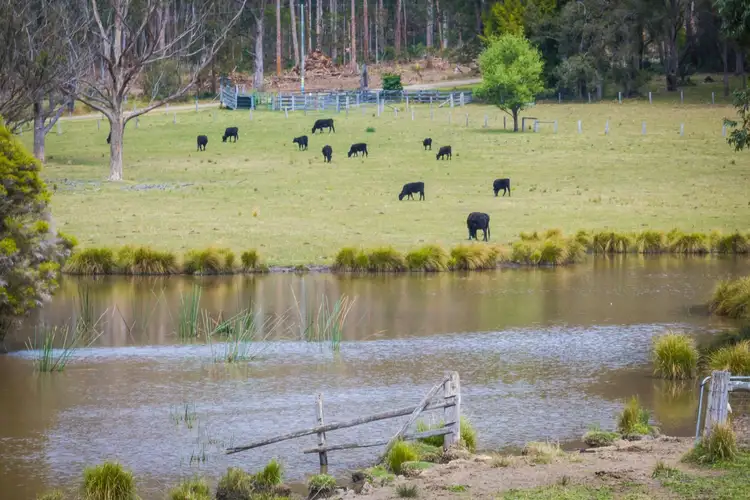 Fifth view of Homely rural property listing, 71 COILA CREEK ROAD, Coila NSW 2537