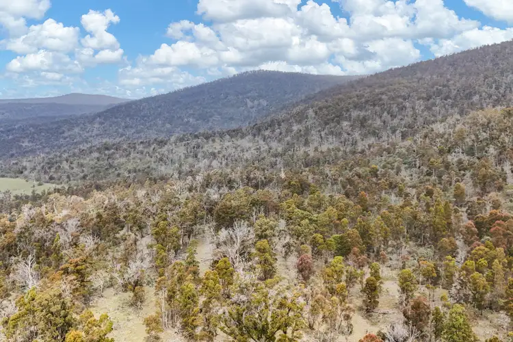 Third view of Homely rural property listing, 0 Tunbridge Tier Road, Tunbridge TAS 7120