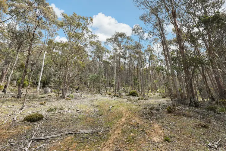 Fourth view of Homely rural property listing, 0 Tunbridge Tier Road, Tunbridge TAS 7120