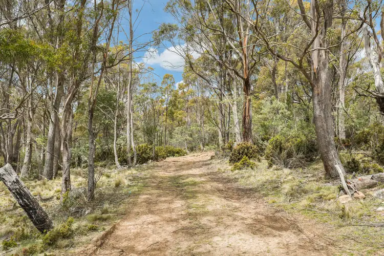 Fifth view of Homely rural property listing, 0 Tunbridge Tier Road, Tunbridge TAS 7120