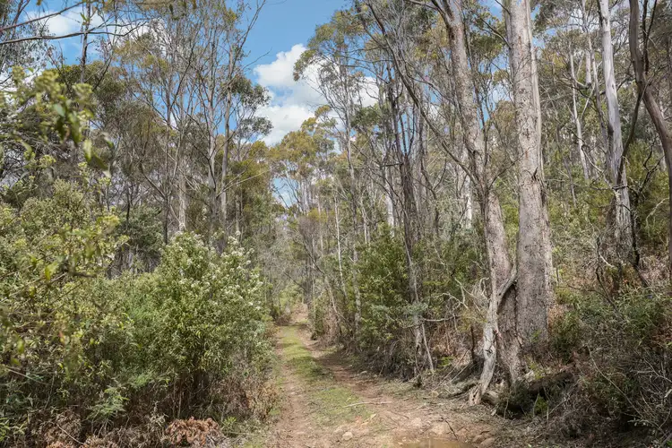 Seventh view of Homely rural property listing, 0 Tunbridge Tier Road, Tunbridge TAS 7120