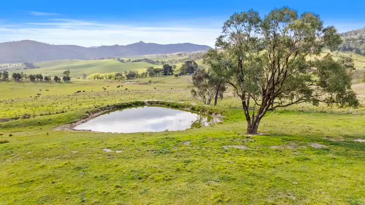 Third view of Homely rural property listing, 191 Jerrys Meadow Road, Sodwalls NSW 2790