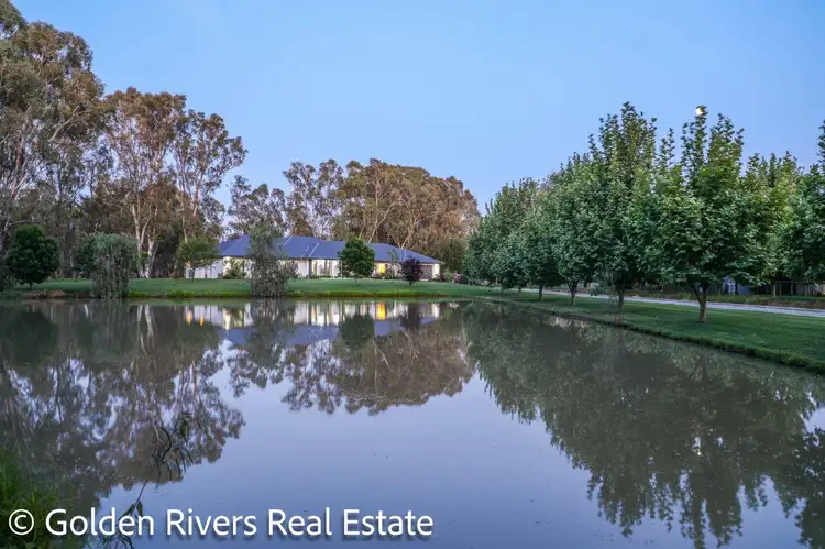 41 Cappiello Lane, Barham NSW 2732