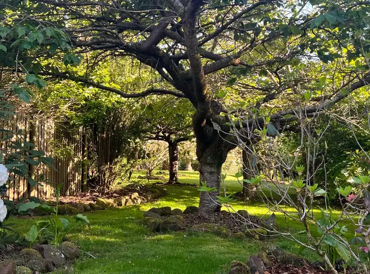 Sixth view of Homely house listing, 1154 Oldina Road, Oldina TAS 7325