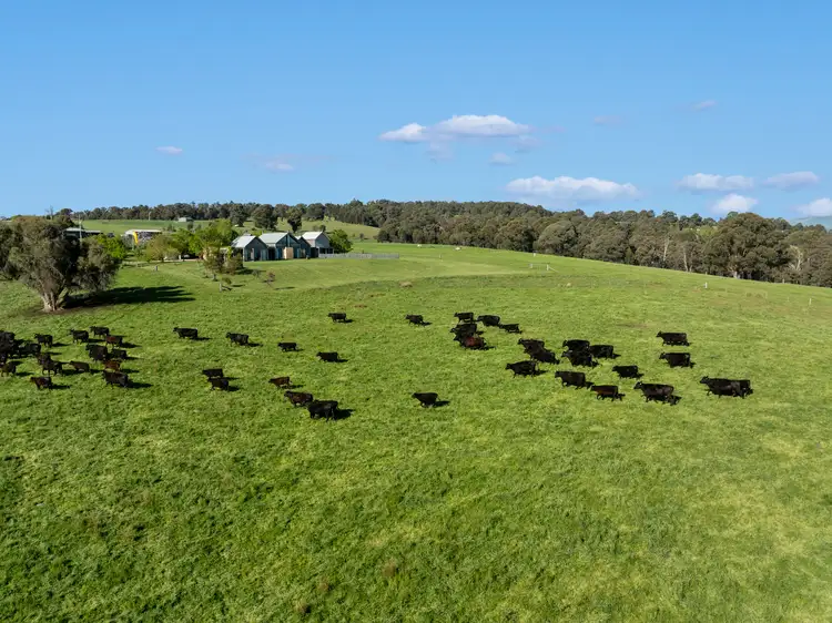 Second view of Homely rural property listing, 630 Glenroy Road, Merrijig VIC 3723