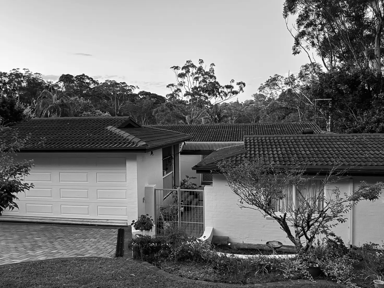 Main view of Homely house listing, 17 Melaleuca Drive, St Ives NSW 2075