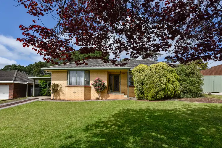 10 Hillcrest Avenue, Mount Gambier SA 5290