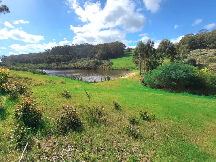 Seventh view of Homely rural property listing, LOT 25, 25 Dingo Flat Road, Tingledale WA 6333
