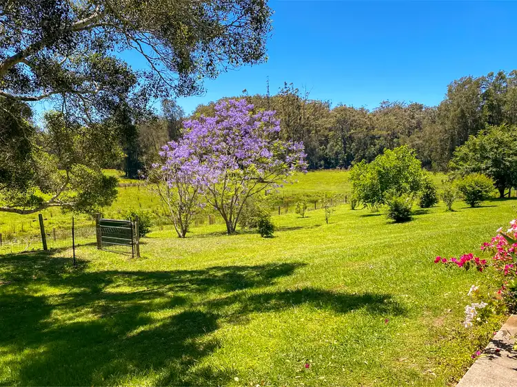 Fifth view of Homely rural property listing, 180 Stage Coach Road, Batar Creek NSW 2439