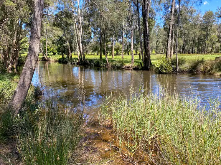 Seventh view of Homely rural property listing, 180 Stage Coach Road, Batar Creek NSW 2439
