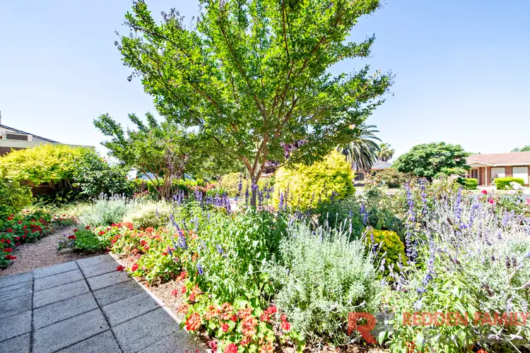 Third view of Homely house listing, 13 Hazelwood Drive, Dubbo NSW 2830