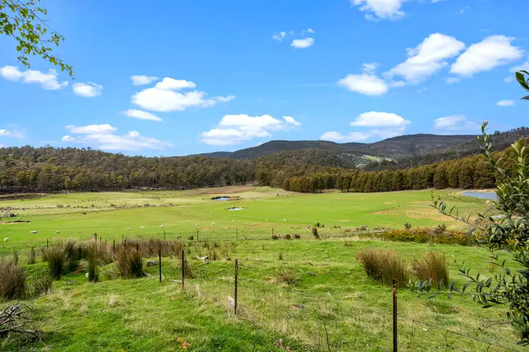 Second view of Homely rural property listing, 523 Yarlington Road, Colebrook TAS 7027