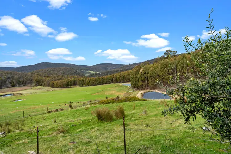 Third view of Homely rural property listing, 523 Yarlington Road, Colebrook TAS 7027