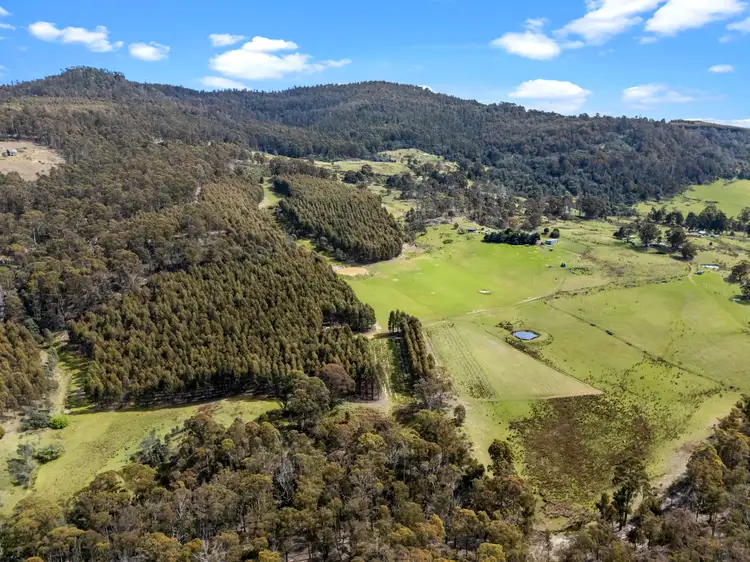 Fifth view of Homely rural property listing, 523 Yarlington Road, Colebrook TAS 7027
