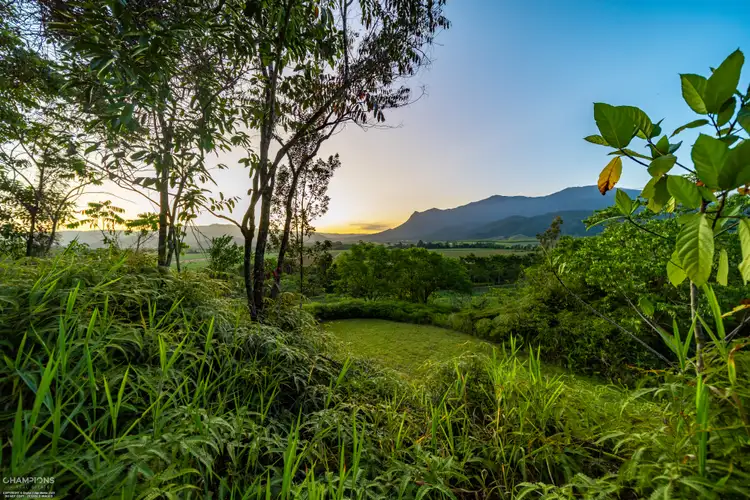 Sixth view of Homely house listing, 390 Woopen Creek Road, Woopen Creek QLD 4871