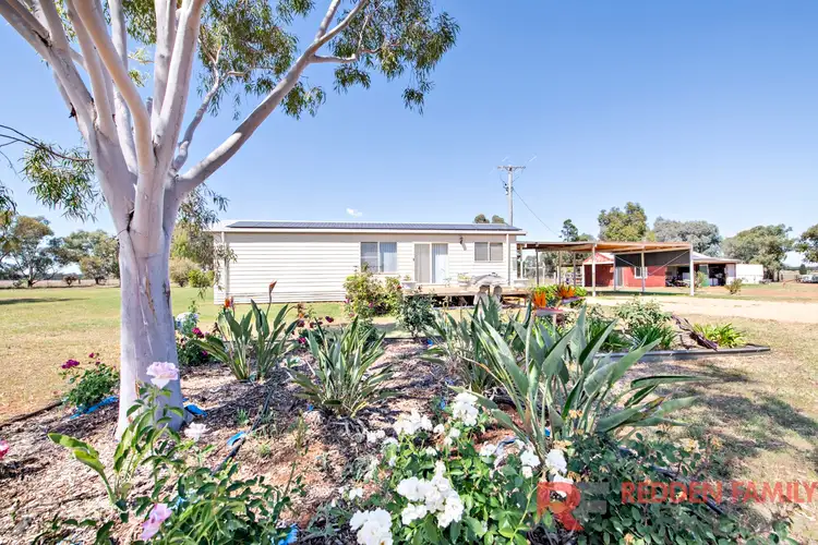 211L Mogriguy Road