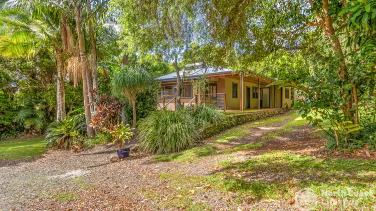 Second view of Homely rural property listing, 577 Humpty Back Road, Pearces Creek NSW 2477