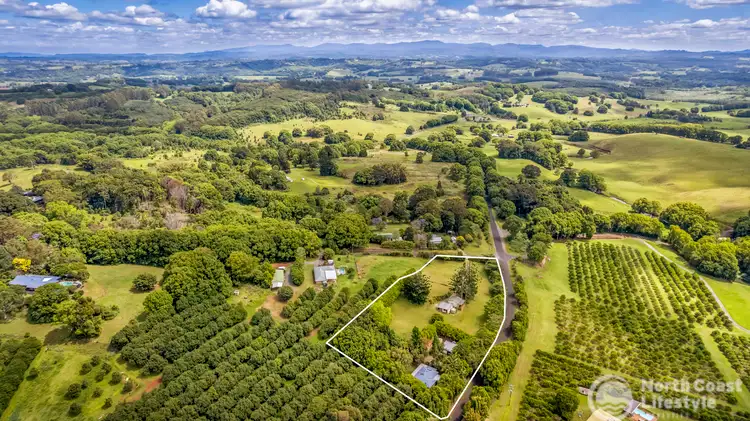 Third view of Homely rural property listing, 577 Humpty Back Road, Pearces Creek NSW 2477