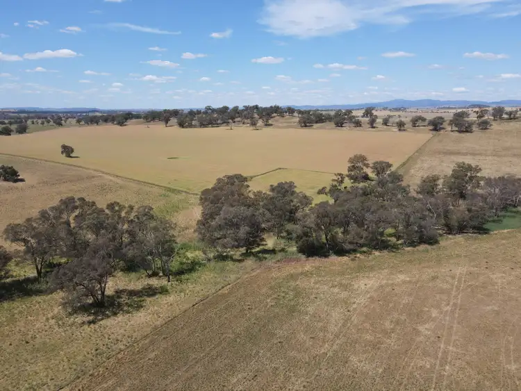 Sixth view of Homely rural property listing, 1 Tremains Lane, Toogong NSW 2864