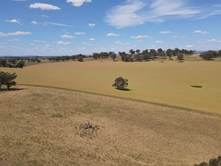 Seventh view of Homely rural property listing, 1 Tremains Lane, Toogong NSW 2864