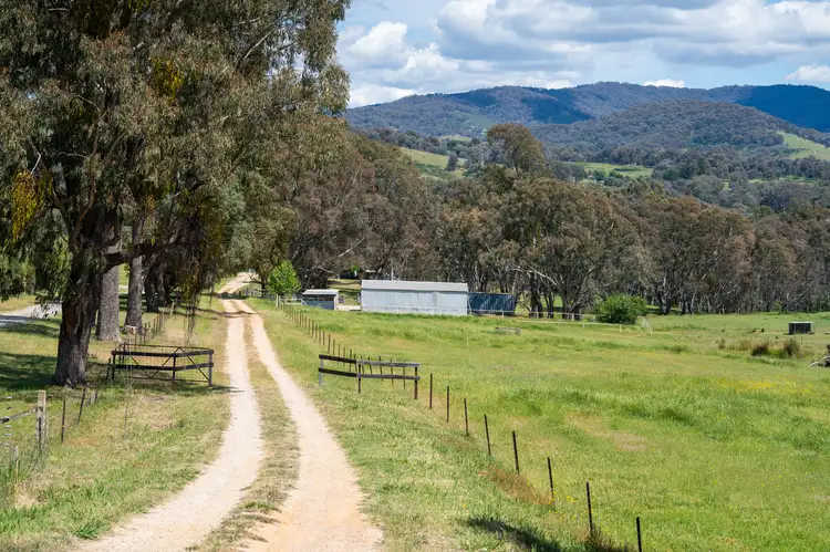 Second view of Homely rural property listing, 665 Osbornes Flat Road, Allans Flat VIC 3691