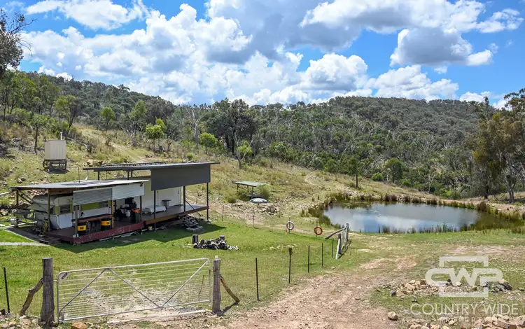 Third view of Homely rural property listing, 793 Gulf Road, Emmaville NSW 2371