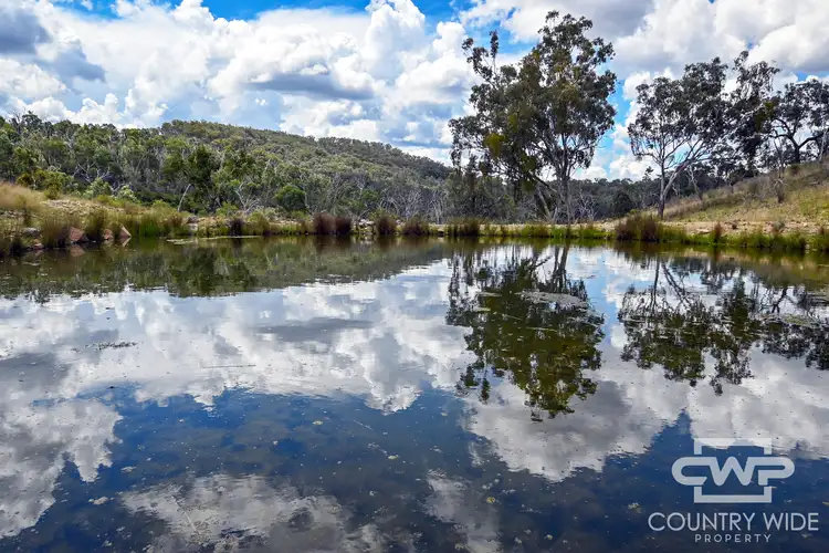 Fourth view of Homely rural property listing, 793 Gulf Road, Emmaville NSW 2371