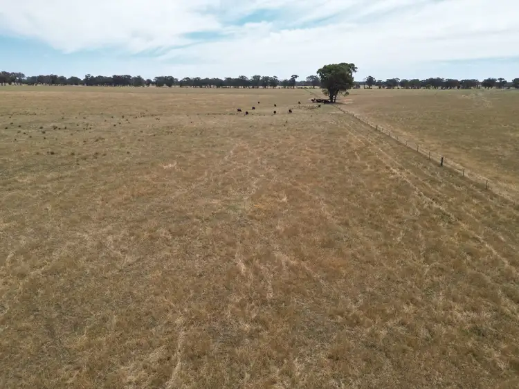 Third view of Homely rural property listing, 5047 Murray Valley Highway, Norong VIC 3682