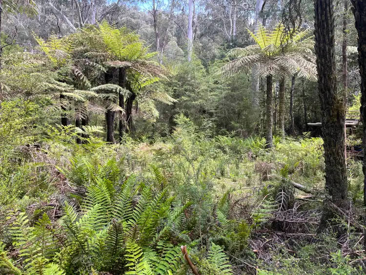 Fourth view of Homely land listing, 4525 Mansfield-Woods Point Road, Kevington VIC 3723
