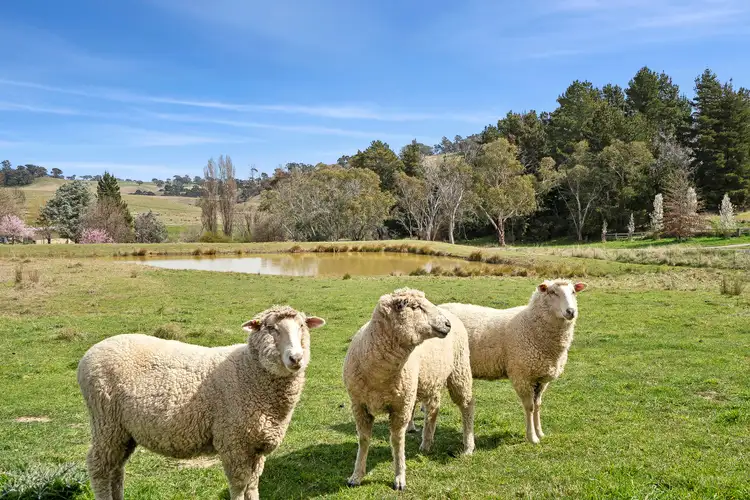 Fifth view of Homely rural property listing, 22-27 Arthur Street, Binda NSW 2583