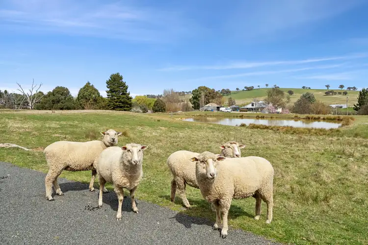 Sixth view of Homely rural property listing, 22-27 Arthur Street, Binda NSW 2583
