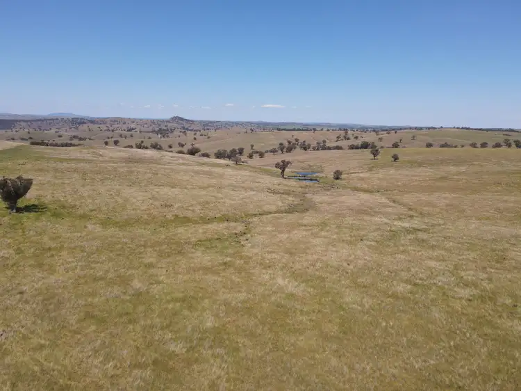 Second view of Homely rural property listing, 250 Emu Creek Road, Canowindra NSW 2804