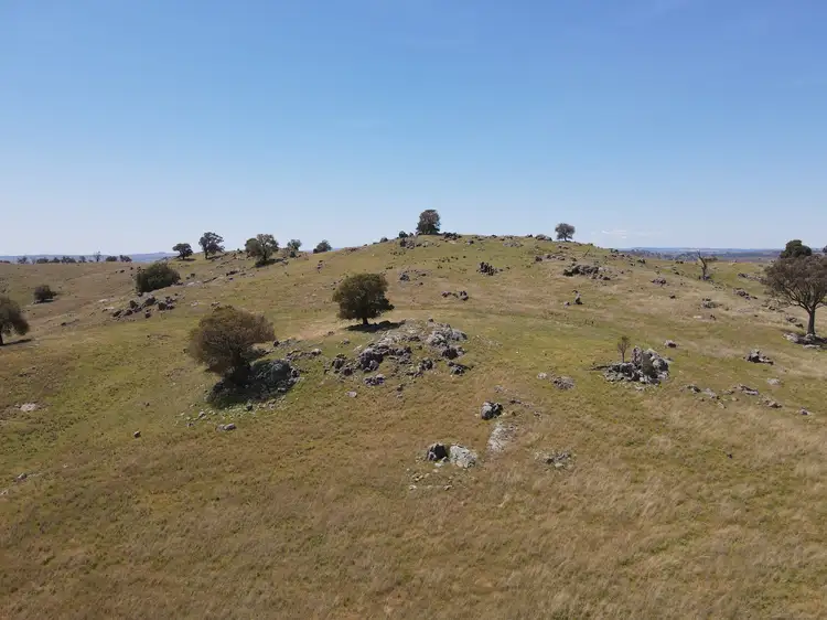 Third view of Homely rural property listing, 250 Emu Creek Road, Canowindra NSW 2804
