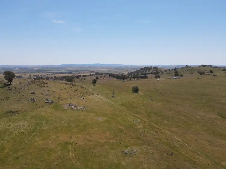 Fifth view of Homely rural property listing, 250 Emu Creek Road, Canowindra NSW 2804